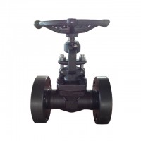 Api 602 150lb 300lb 600lb 900lb 1500lb A105 F304 Forged Steel Welded End Flanged End Gate Valve